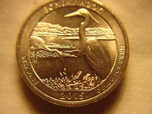 2015-P-De-Bombay-Hook--Coneca-DDR-004